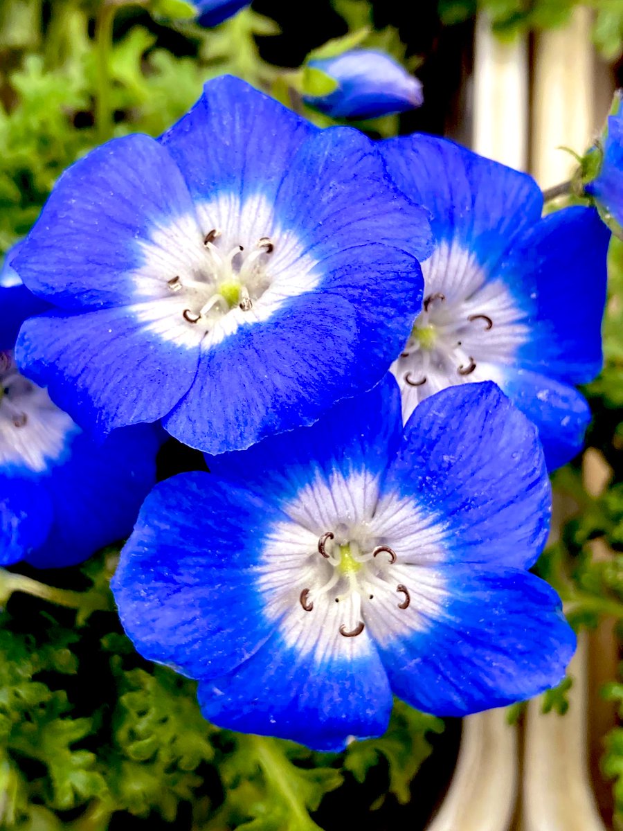 たくみん@いつも前向きブロガー tweet media