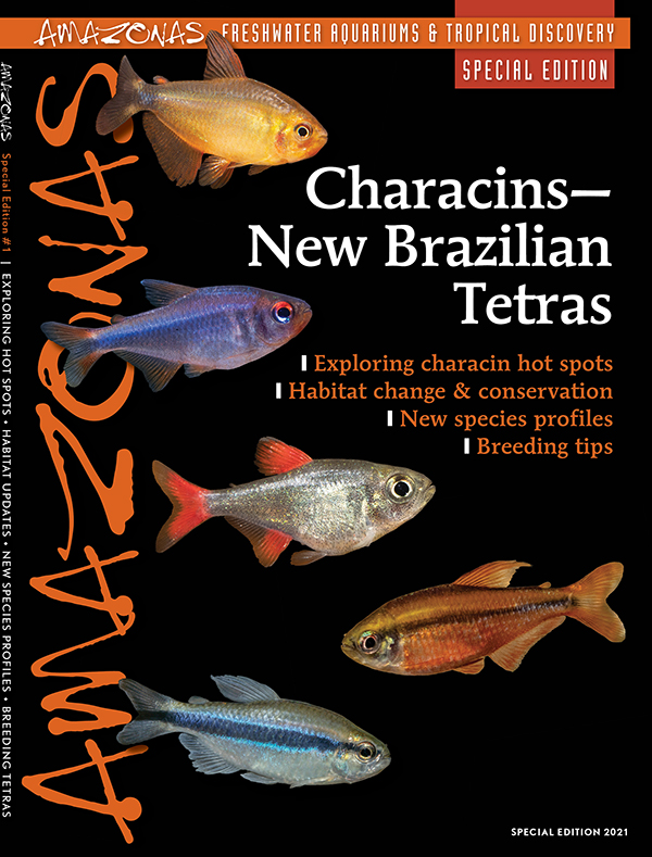 AmazonasMag's tweet image. LAST CALL! It's the final hours of our 2025 back issue sale! Shop at AquaticMediaPress.com/shop and use code ThankYou2025 to get 33% off single-issue copies! Sale ends tonight! Even our amazing print-exclusive #Characins Special Edition is on sale, something we've never done before!
