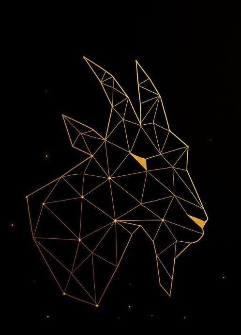 +911✝️ tweet media