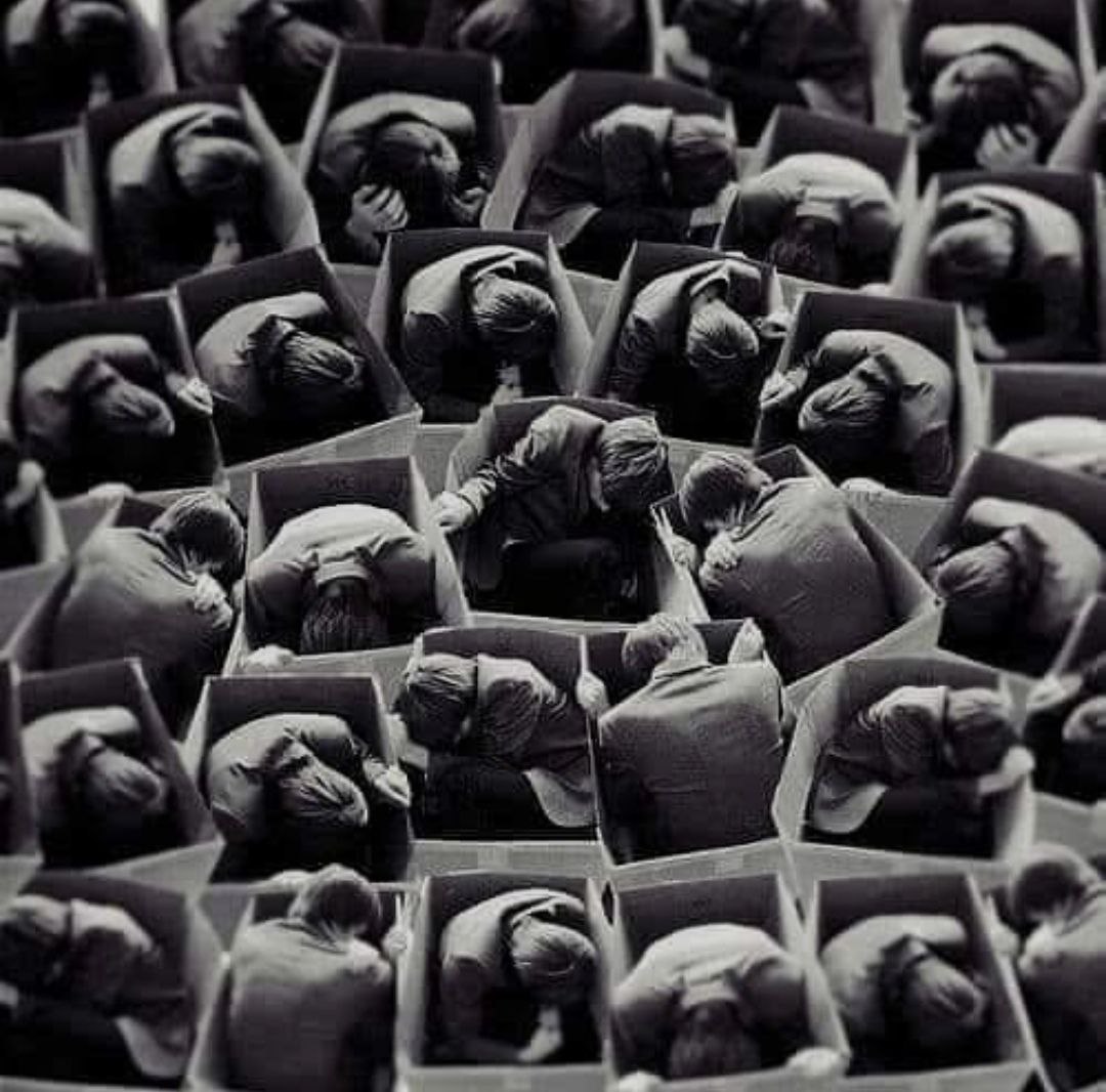 نحن نعيش في عالم من الناس "النائمين" الذين يصبحون شرسين إذا حاول أحد يصحيهم.