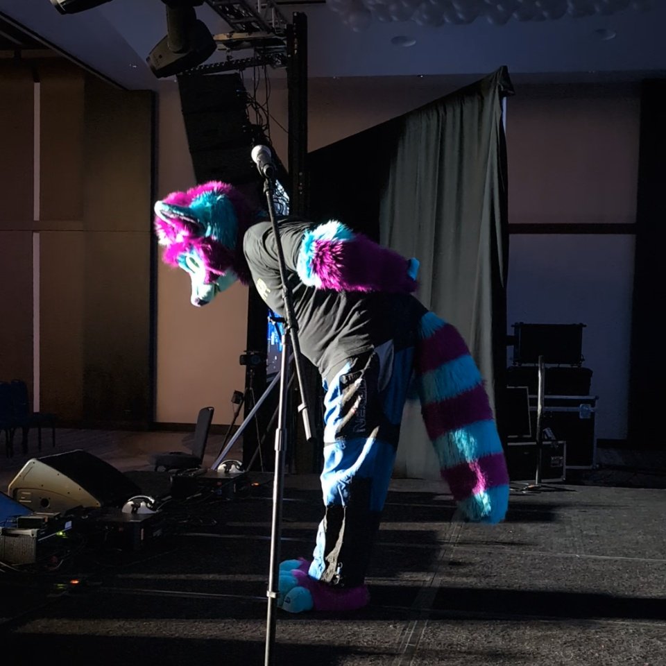 🦝 Socks 🐭 tweet media