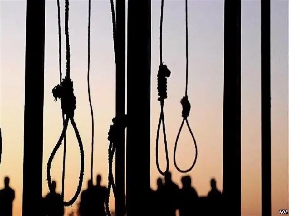 🔴اعدام در ایران به ابزار بقا تبدیل شد؛ ۱۴۲۶ اعدام در ۱۱ ماه

افزایش آمار اعدام‌ها در ایران بە دلایل سیاسی و غیر سیاسی بە سونامی‌ای‌ تبدیل شدە است کە رژیم از آن برای ادامە حکومت خود استفادە می‌کند.

 سازمان حقوق بشر ایران، روز پنج‌شنبه، ۱۳ آذرماە ١٤٠٤ گزارش داد، که در ماه گذشته