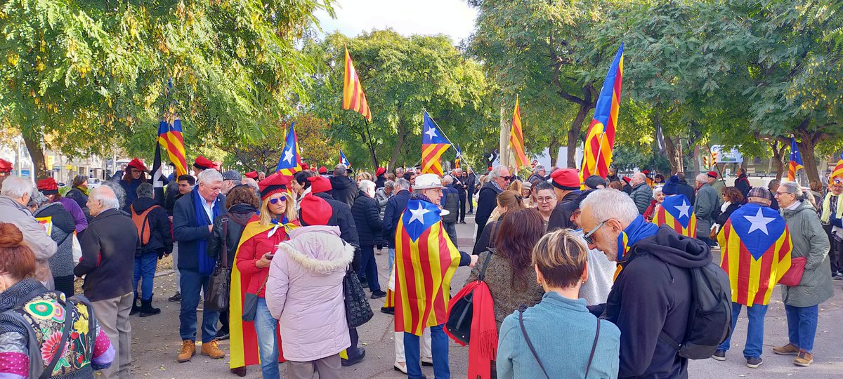 ANC Canet de Mar  🎗 - Oficial tweet media