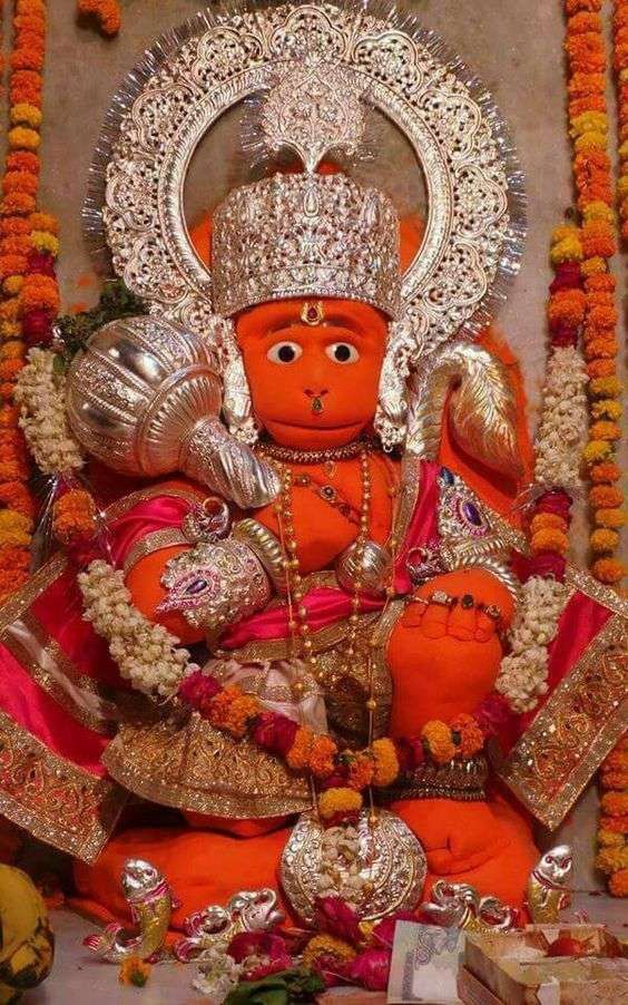 रानी पुरोहित tweet media