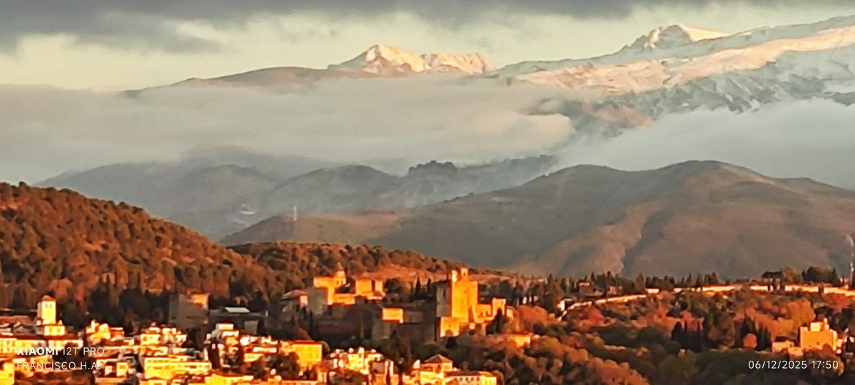 Francisco Hernández tweet media