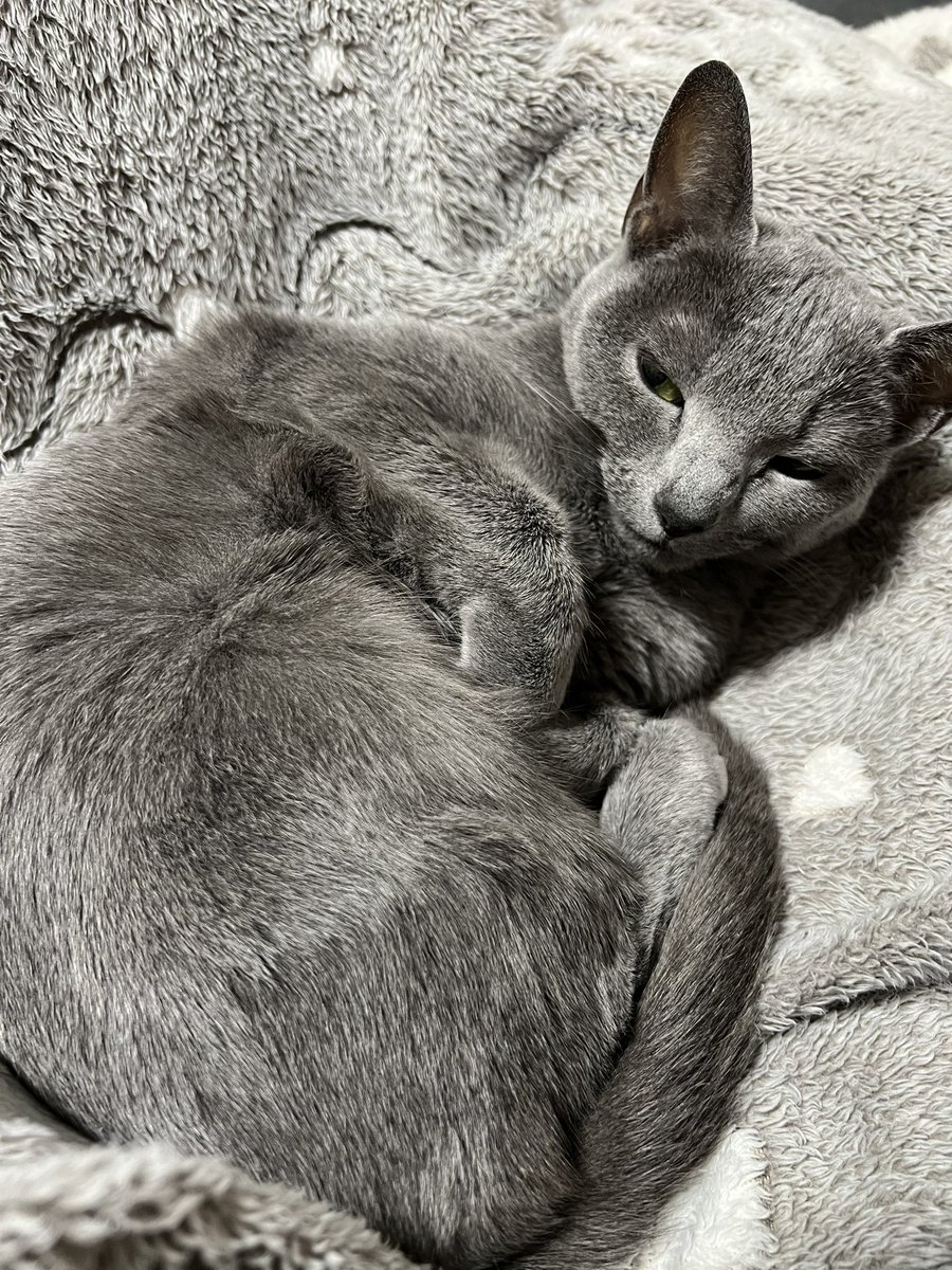 密着してくれてるとこ悪いがおれはそろそろ寝るよ