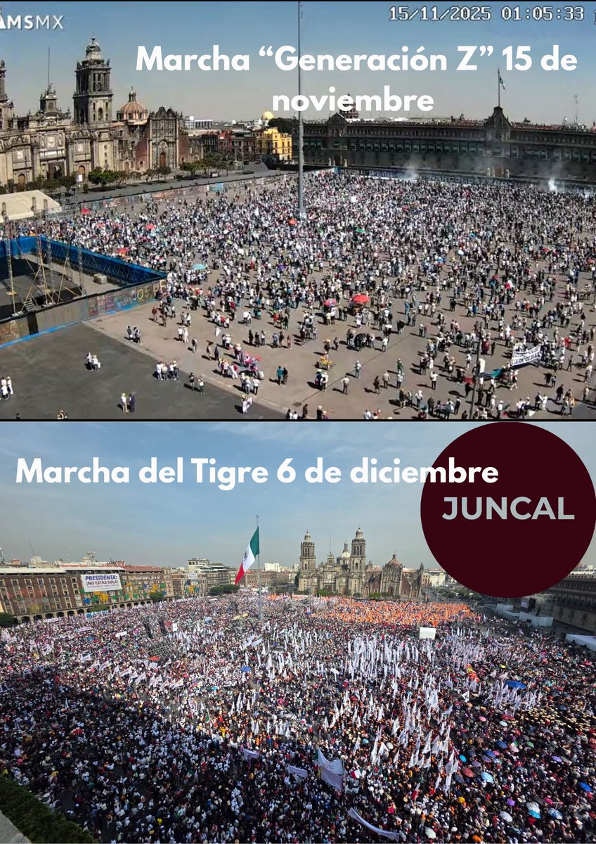 Juncal Solano tweet media