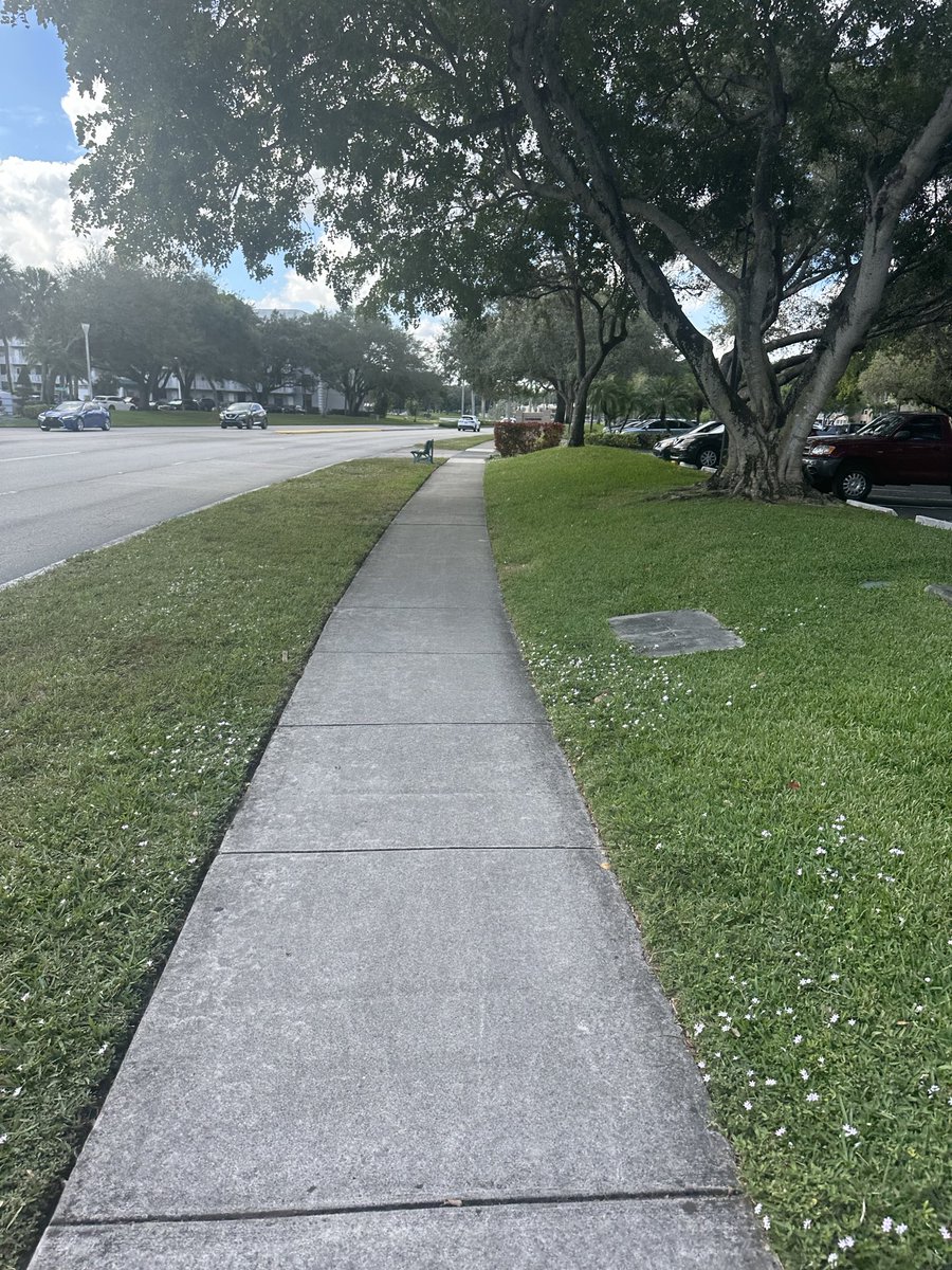 ItsMaterialBoy's tweet photo. @SweatEconomy South Florida✌🏼 https://t.co/PUNA8JxEAc