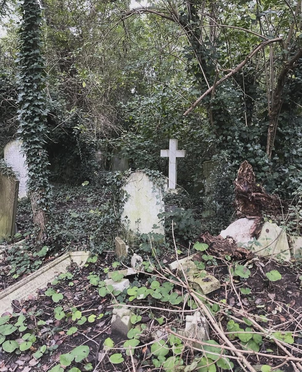 fflannd's tweet image. Once in a while
#男娘 #femboy #sissy