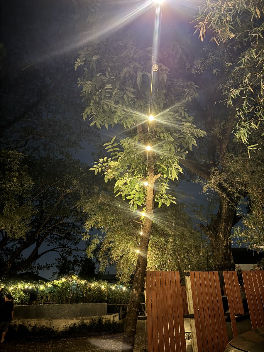 𝓟𝓪𝓽𝓽𝓲𝓮💋 tweet media