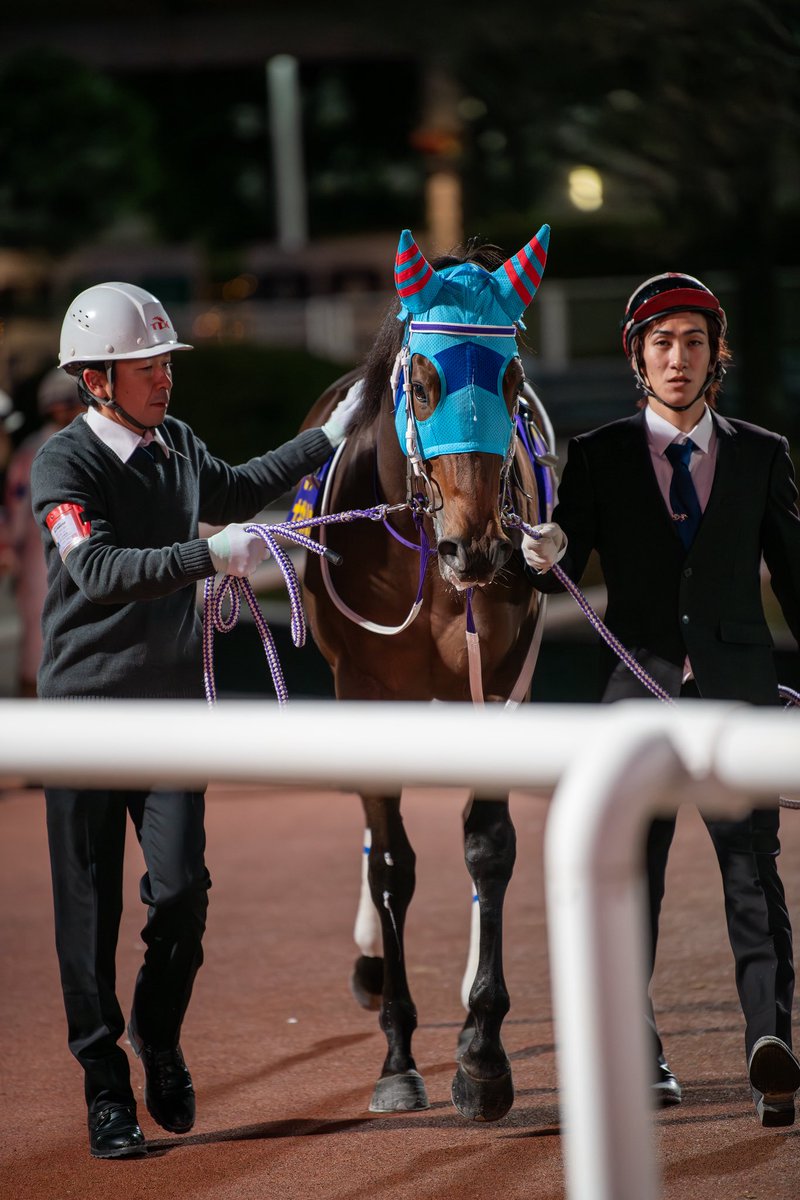 2025.12.4 大井11R ジェムストーン賞 #ナギサノルナ ×矢野貴之 騎手