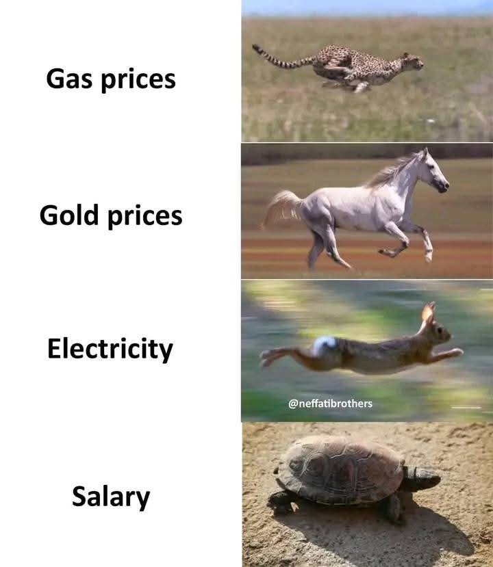 Promise 🛐👁️‍🗨️ (@samahproe) on Twitter photo 