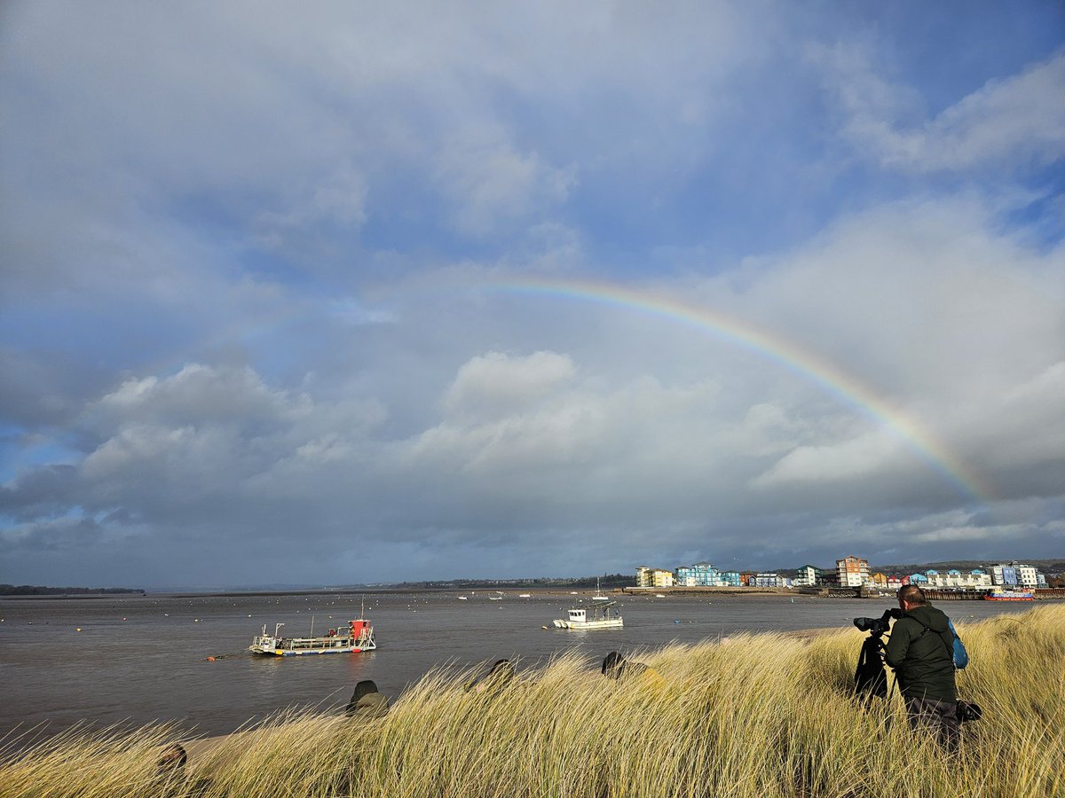 ED Birding tweet media