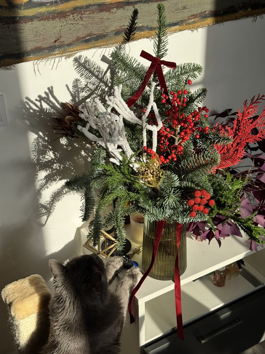 вдома казково✨