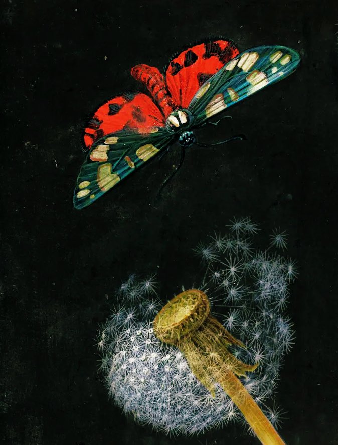 Diente de león de Barbara Regina Dietzsch (1706-1783).

Naturaleza viva en cada diminuto detalle.