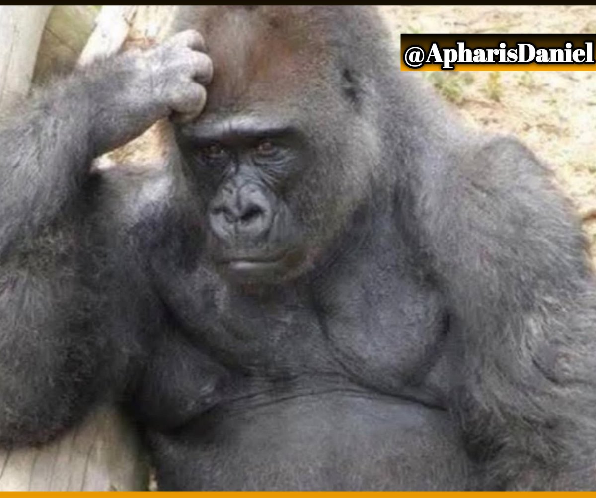 Isi ba depi"w gwo,,, Si gen yon pete ki fèt an piblik,,, Tout moun ap panse se ou ki fè"l ☹️📌