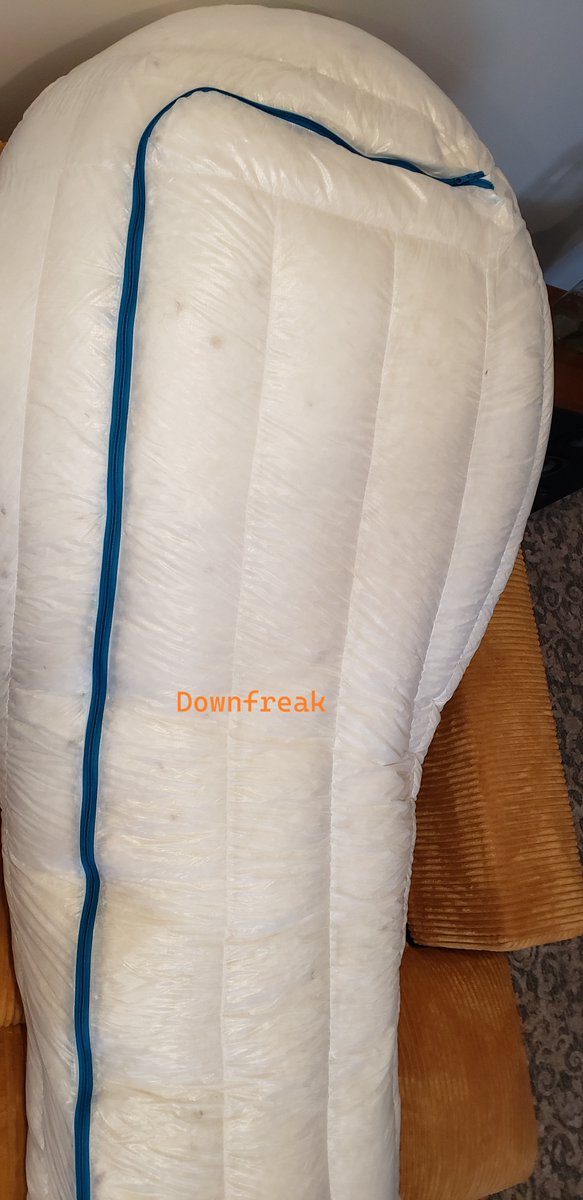 Downfreak tweet media