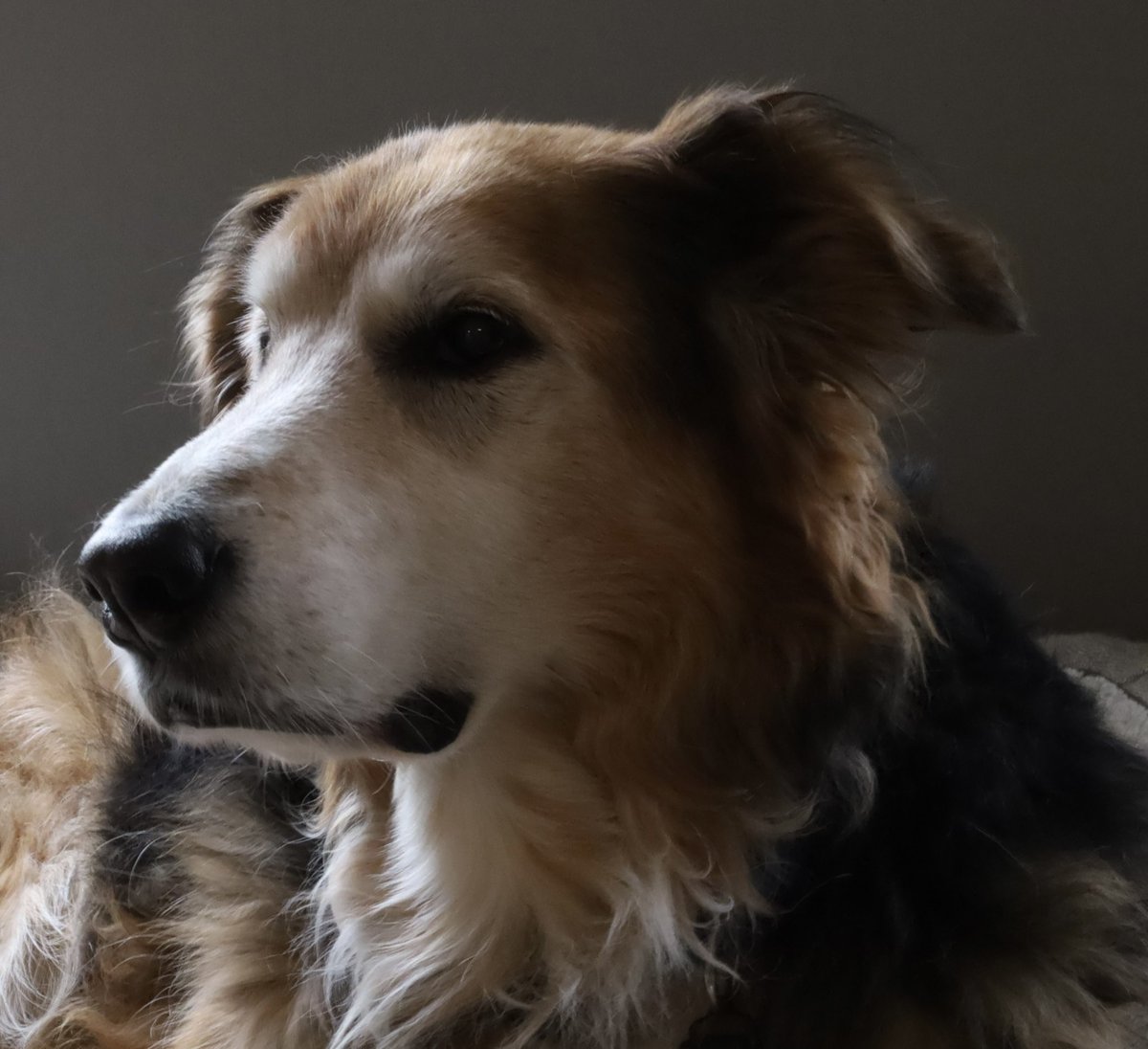 Testing out the new camera with my favourite subject.