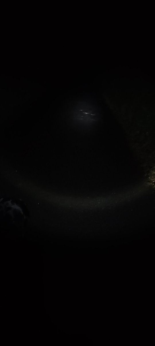Neax0fficial's tweet photo. Just casually shitting myself as I could see my black lab during an winter evening walk. Poor dug was next to me https://t.co/uGUekFNZcO