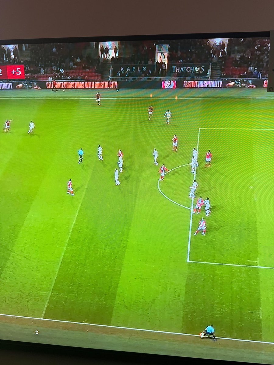 The Robins Zone tweet media