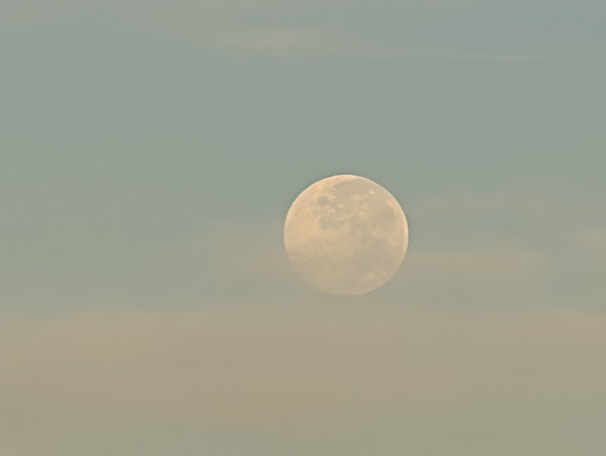 LEAS81's tweet image. 