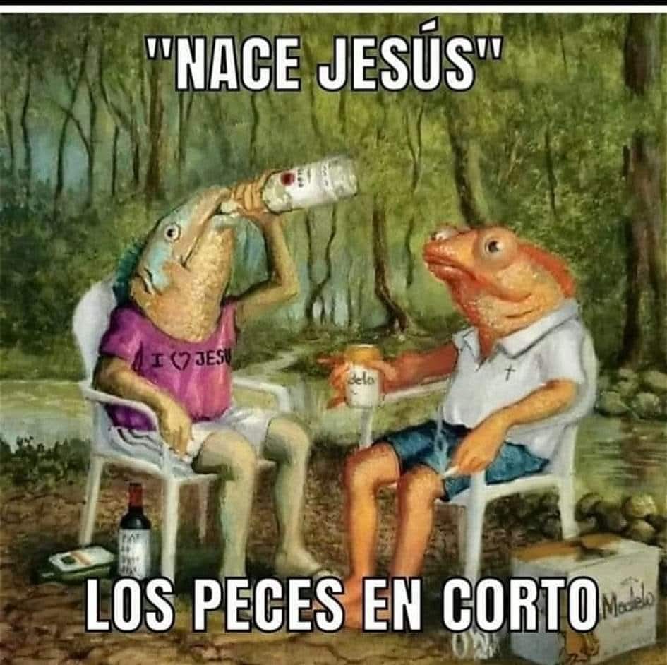 TuziPopMemes🤪😂🤣 tweet media