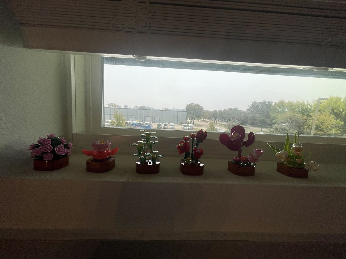 Sky 🌥️ tweet media