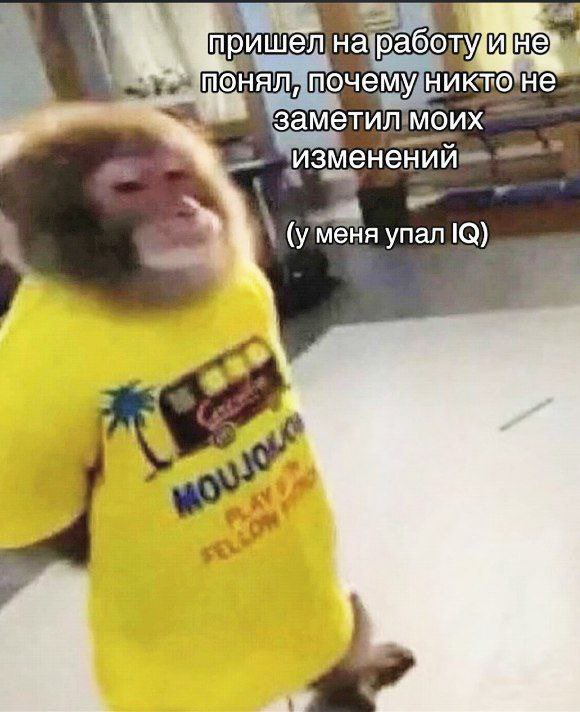 фреймер tweet media