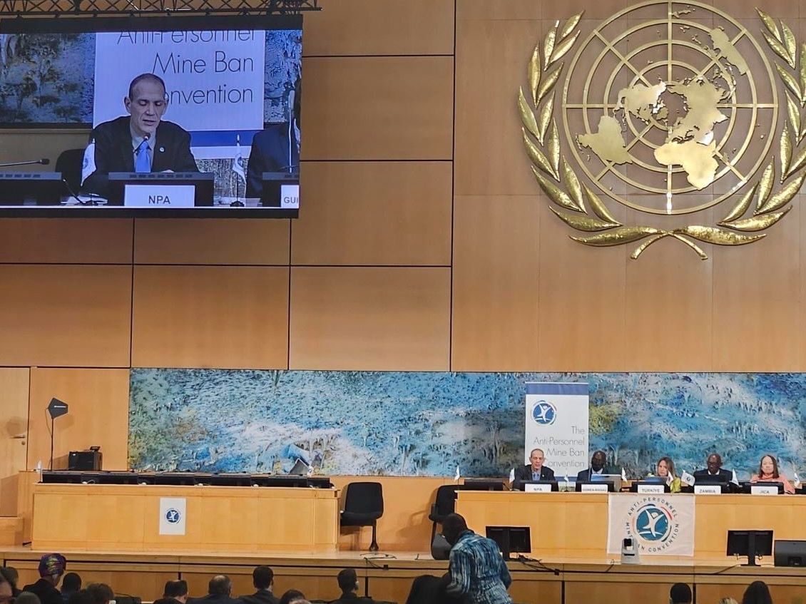 NPA Mine Action and Disarmament tweet media