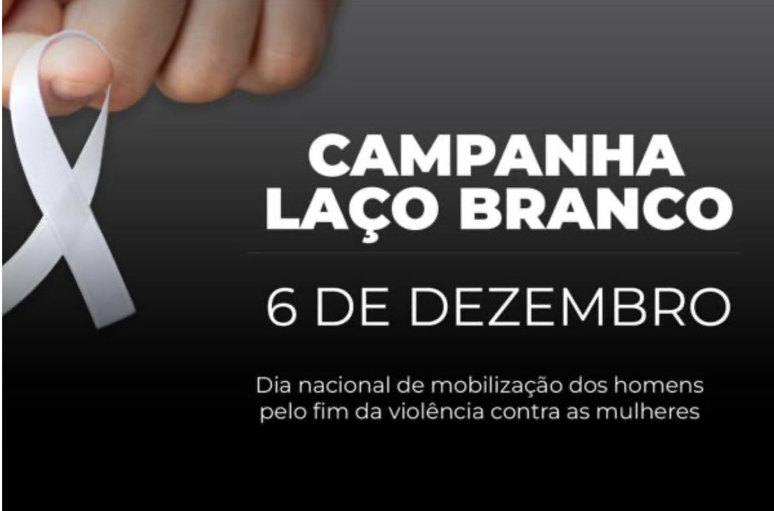 WDN Brasil tweet media