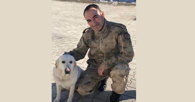 Naaşını yıkayan hoca, telaşla dışarı fırlıyor. "Komutan yaşıyor, ambulans çağırın..."

Orada bulunanlar hemen gasilhaneye koşuyorlar. Zafer Yarbay gülüyor. Ölmemiş gibi gülüyor. Nefes yok, nabız yok, kalp durmuş ama gülüyor...

Ölümüyle ölümü öldüren Şehit J.Yarbay Zafer Akkuş 🇹🇷