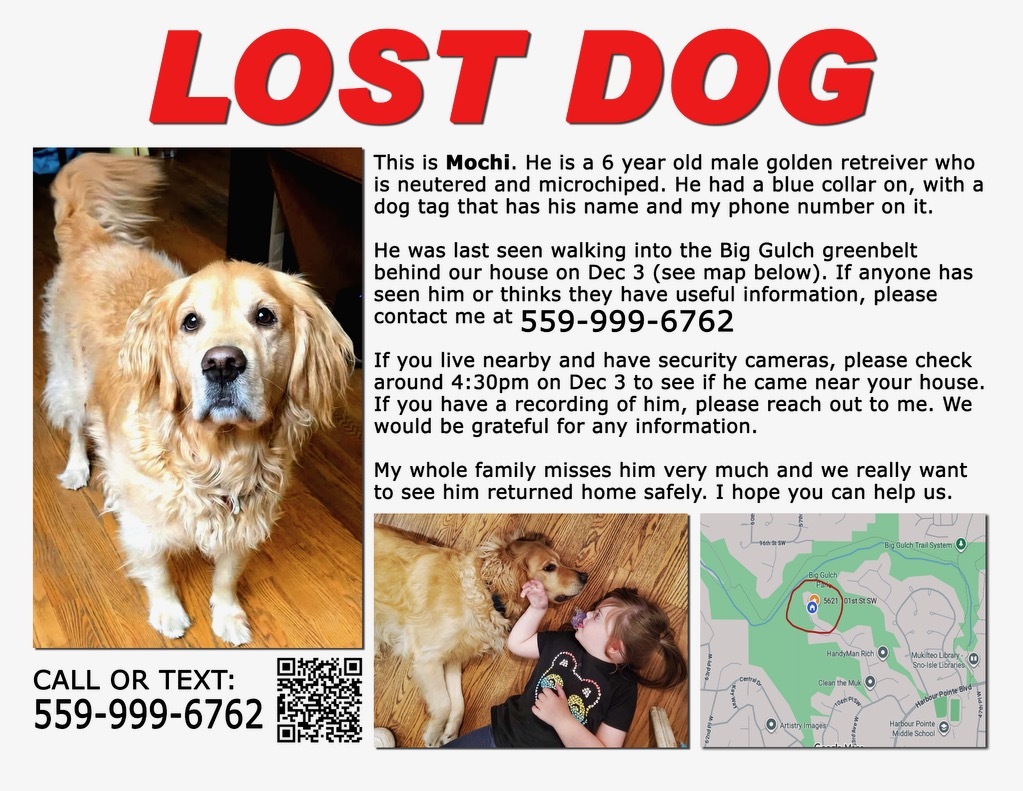 Please help one of our customers find their dog!