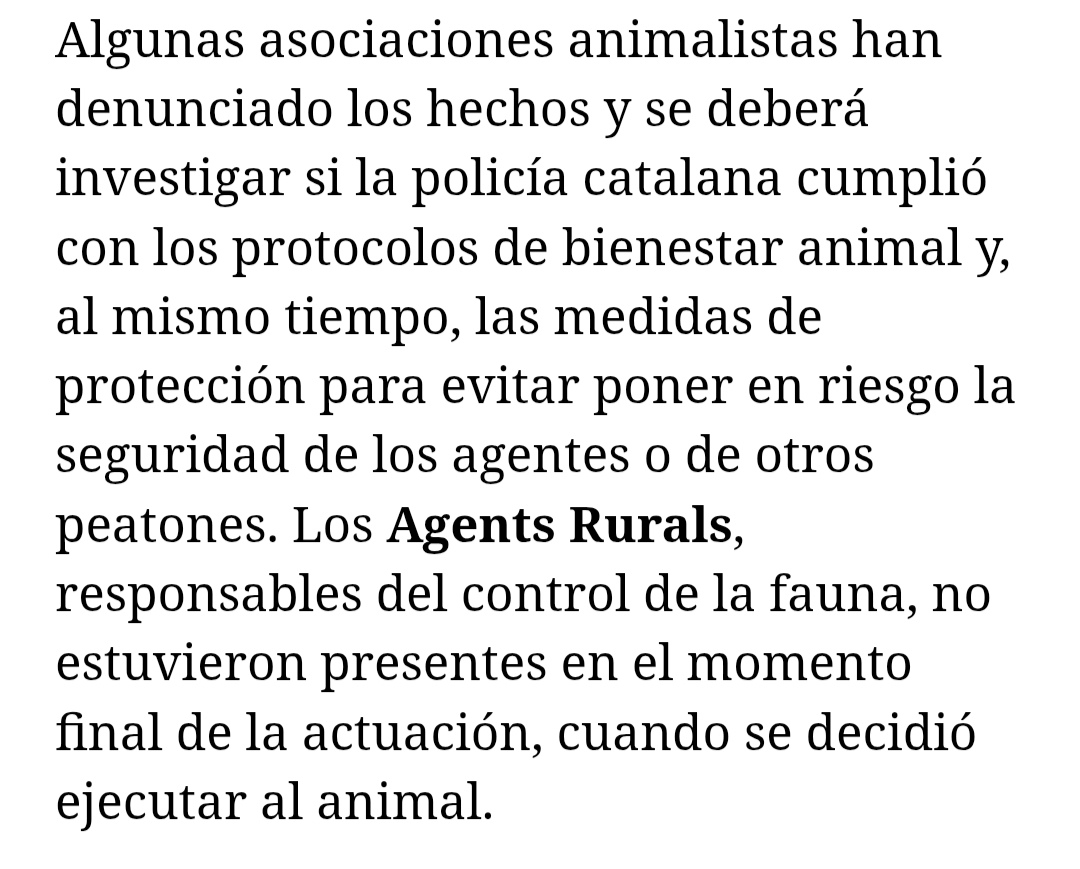Siempre lo mismo. Hace un año con un pobre jabalí, lo mataron a tiros delante de la gente tras, supuestamente, dos horas intentando ahuyentarlo. ¿Qué hacían, aspavientos con las manos? El animalito era peligroso, pero pegar tiros no. Repugnante. Solo saben utilizar la violencia.