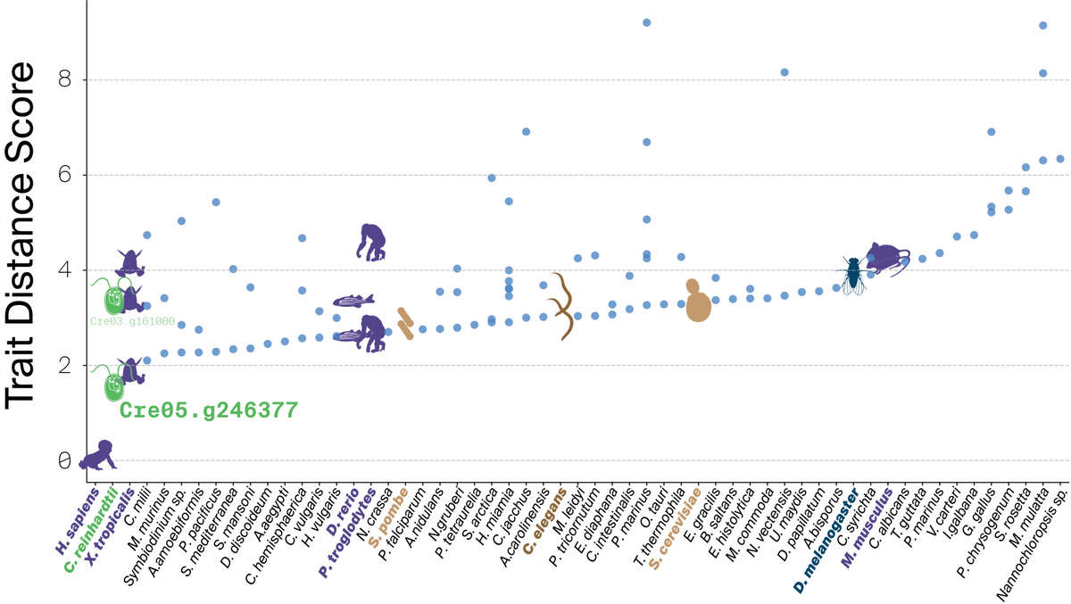 Cameron Dale MacQuarrie tweet media