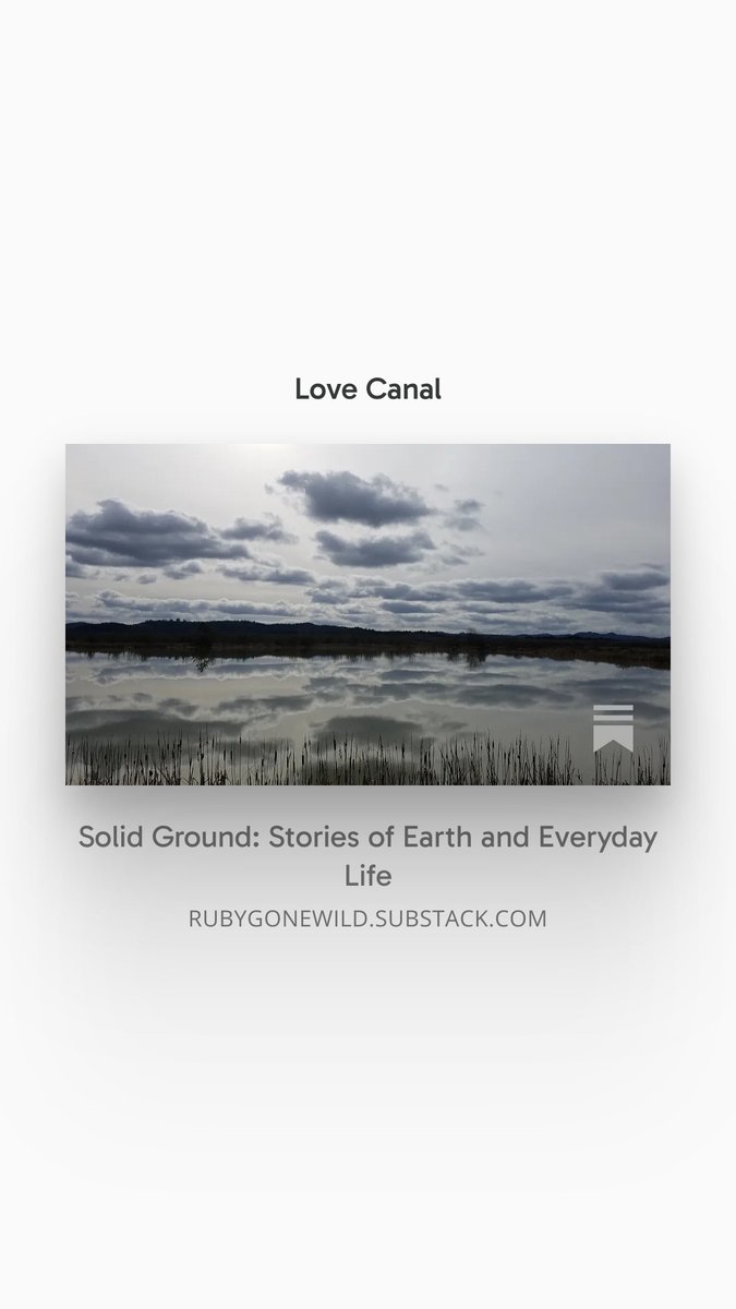 Ruby McConnell tweet media