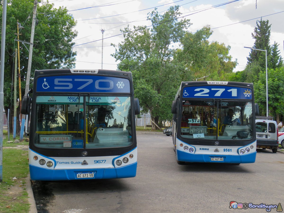 Bondis.yan tweet media