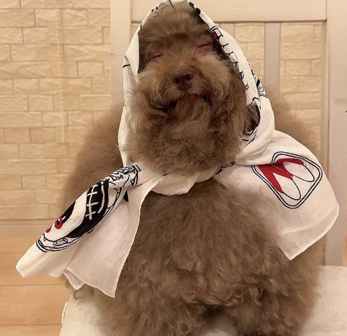 𝗚𝗔𝗠𝗘𝗥 𝗦𝗟𝗘𝗘𝗩𝗘™ tweet media