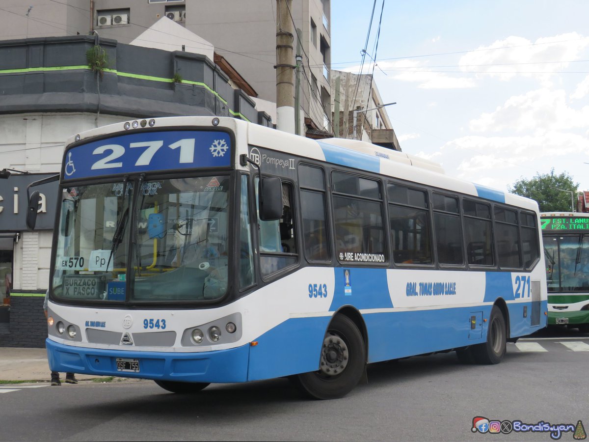 Bondis.yan tweet media