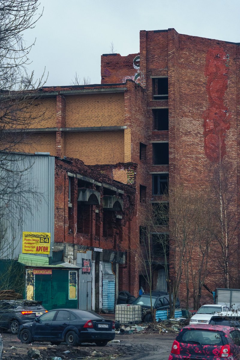 Red Shuheart (@red_shuheart) on Twitter photo 