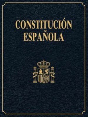 ISAndaluza1's tweet photo. 👁️‍🗨️El personal empleado público es garante del buen funcionamiento de nuestras instituciones, cada día, con dedicación y esfuerzo. Cumplimos los principios constitucionales que definen nuestro país y desde #ISAsindicato defendemos tus derechos. Feliz Día de la Constitución https://t.co/cGz13NxIr1