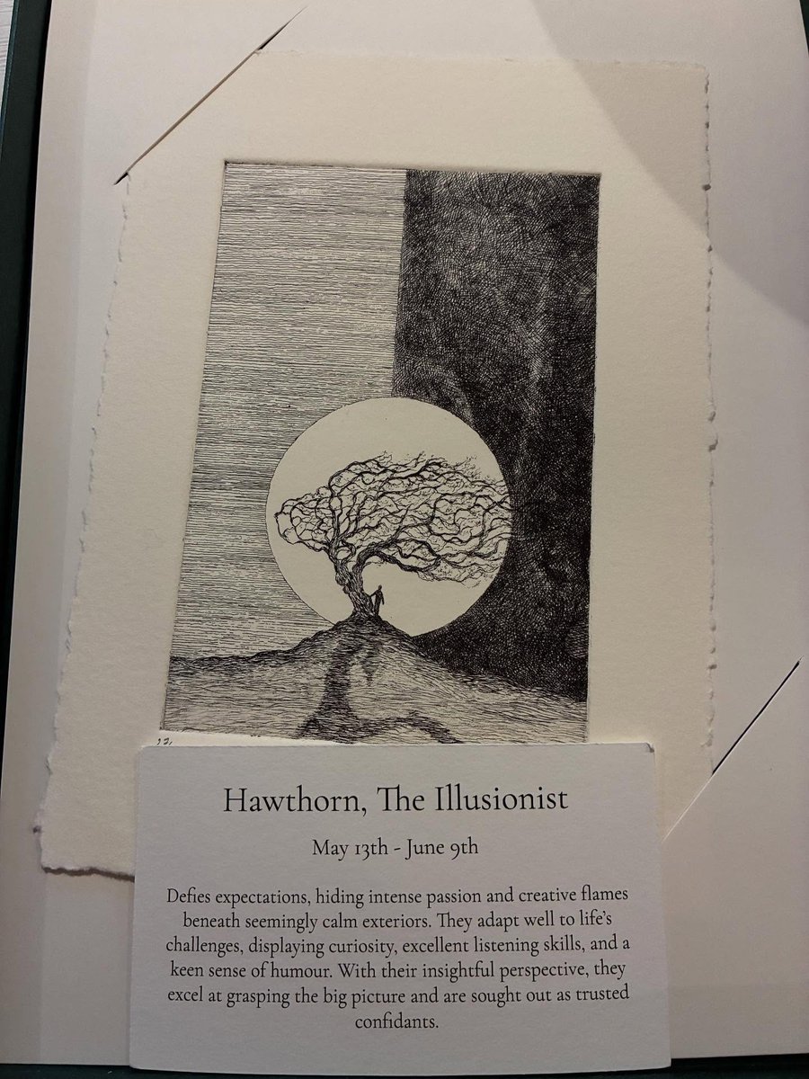 Amelia Warner France 🎼 Fan Account tweet media