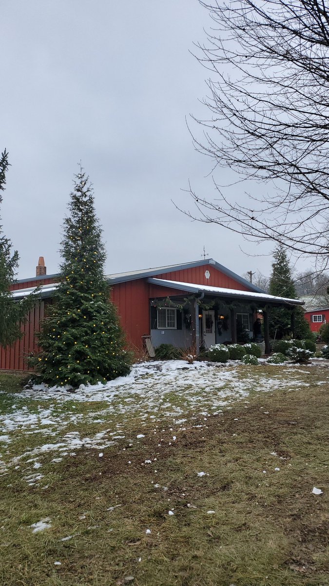 SolidCincinnati's tweet image. It's Christmas time in the city 😎🎅🌲