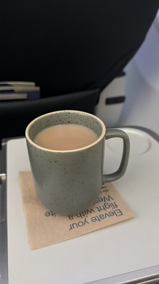 Love the new <a href="/AlaskaAir/">Alaska Airlines</a> ceramic ware on this flight to Seattle! 😍

It's giving NW Forest and I love it