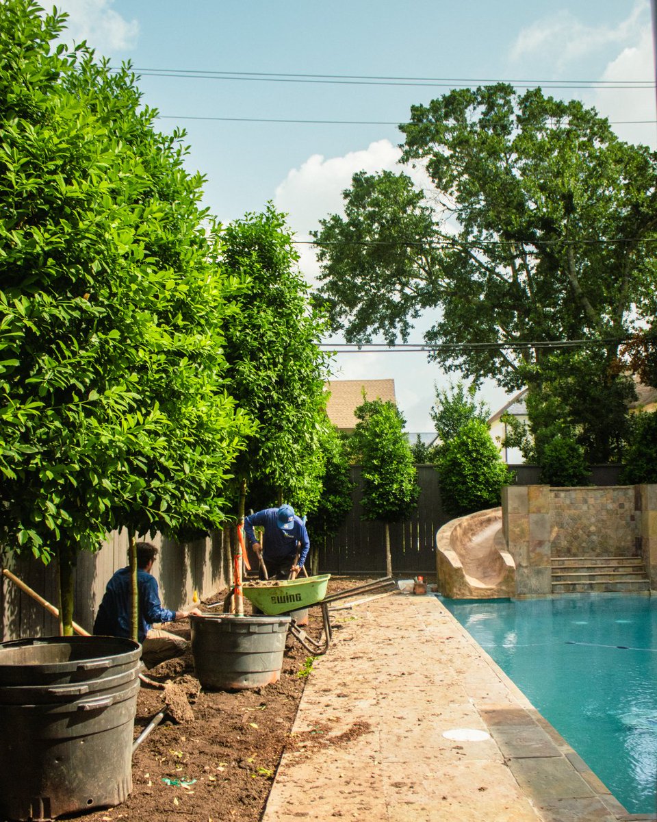 A transformation is taking shape. 🌳🤍 Hogue Landscape Services is carefully installing each element, with trees and lush plantings being added to bring this front and backyard to life.

#LandscapeDesign #BackyardInspo #FrontYardMakeover