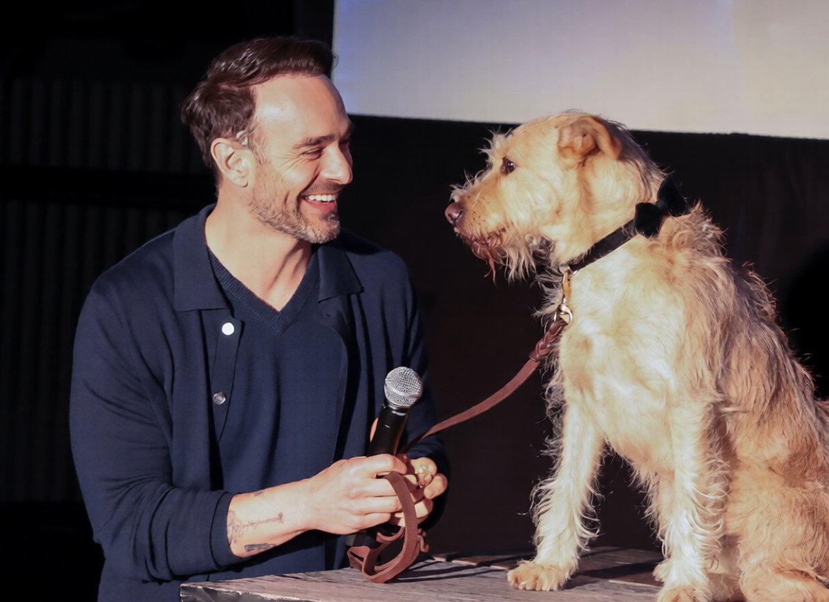 darlin77230527's tweet image. Cuties Charlie and Gus 💖 #Merv