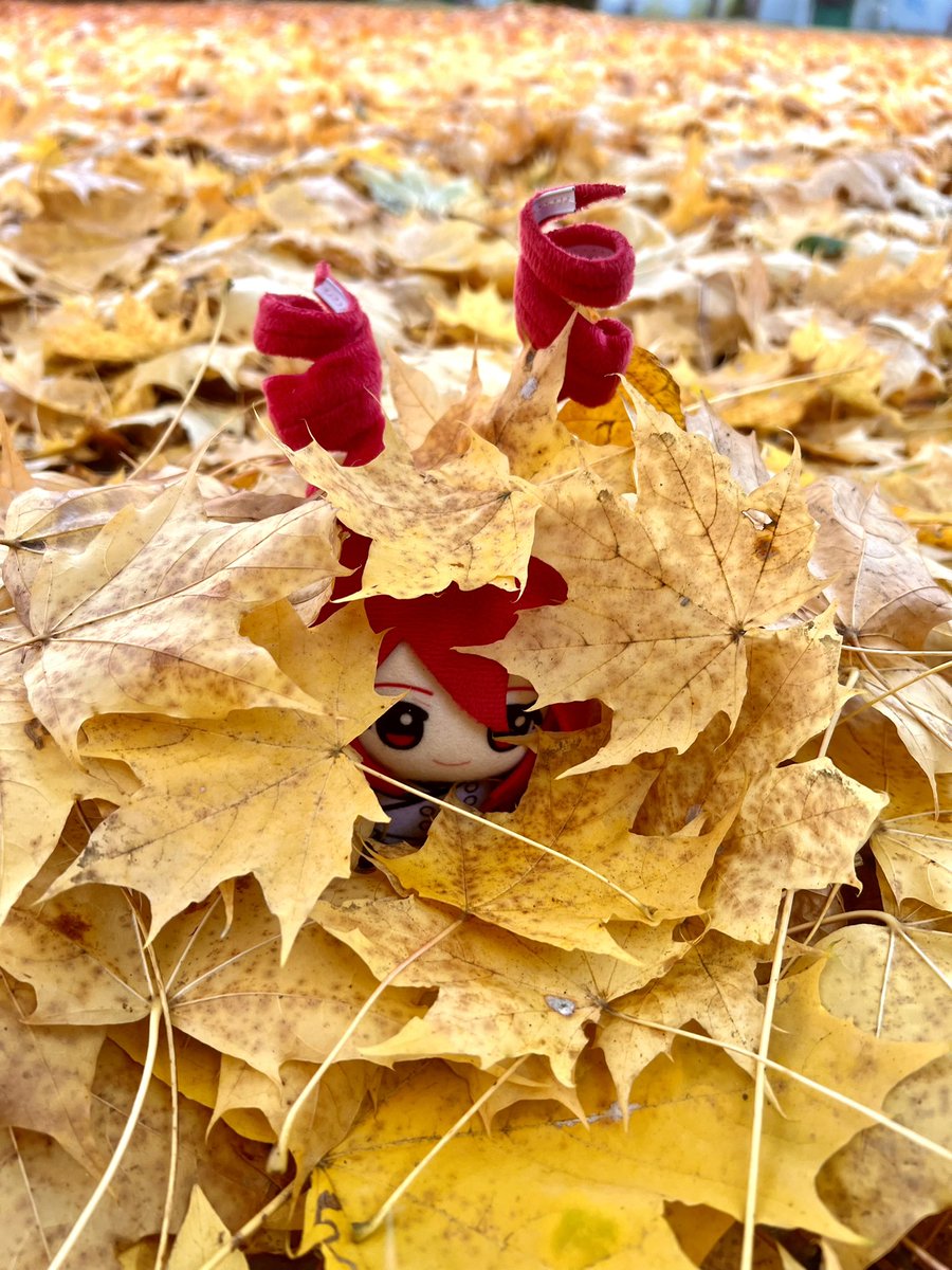 I wonder where Teto could be hiding〜 
#重音テト #テトさんぽ