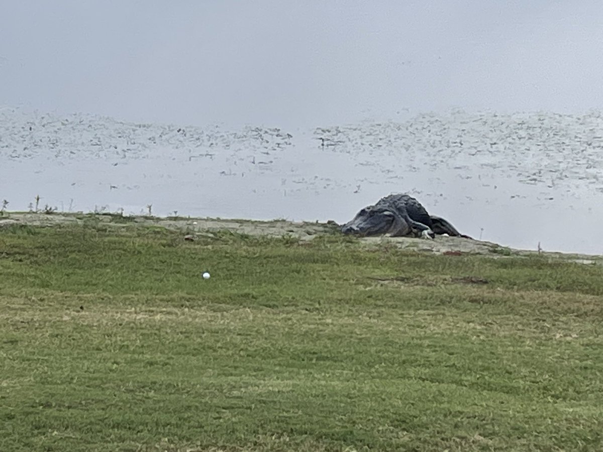 bob hommerbocker tweet media