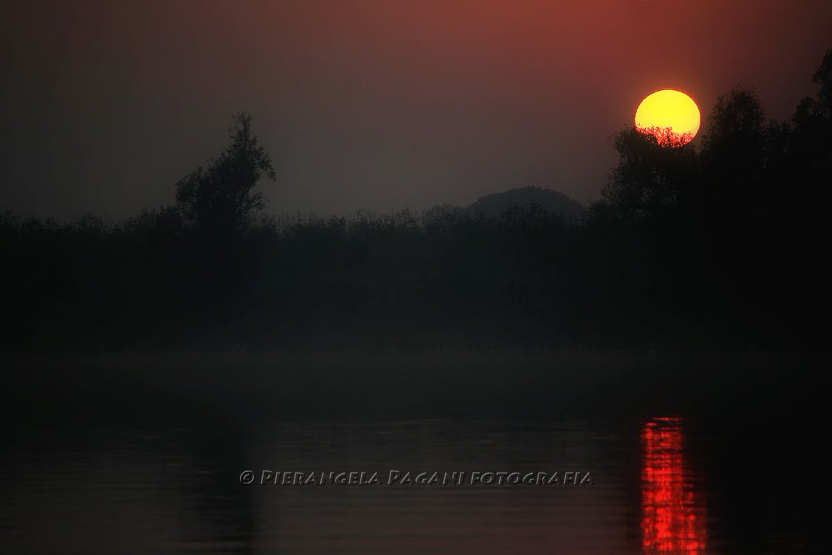 @ferrarisergio4 tweet media