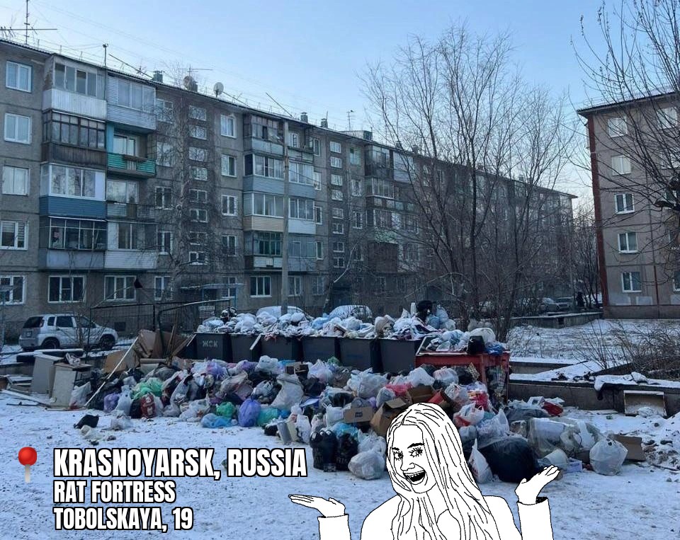 LXSummer1's tweet image. Sasha meets real russia.