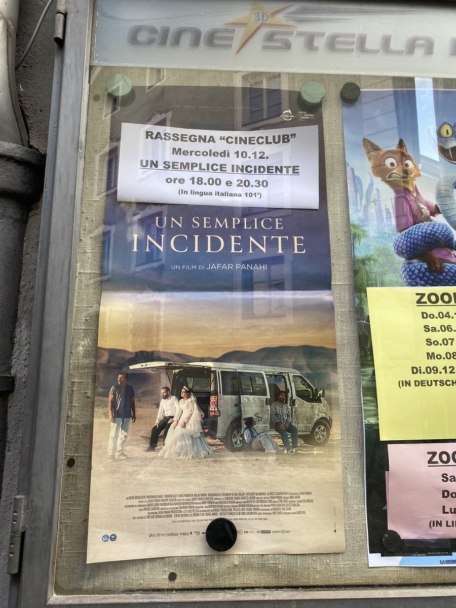 Sonia Zuccaro tweet media